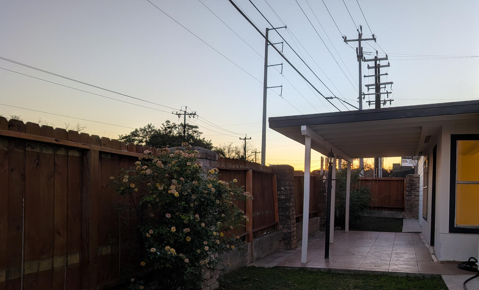 Yard extends to show rosebush, covered patio and second yard area with a large bird of paradise bush and further fence